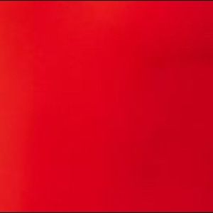 Meet your Posher, Sela